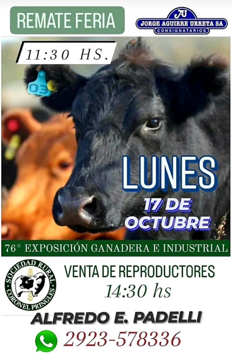 Todo listo y en marcha para la gran fiesta que une al campo y la ciudad