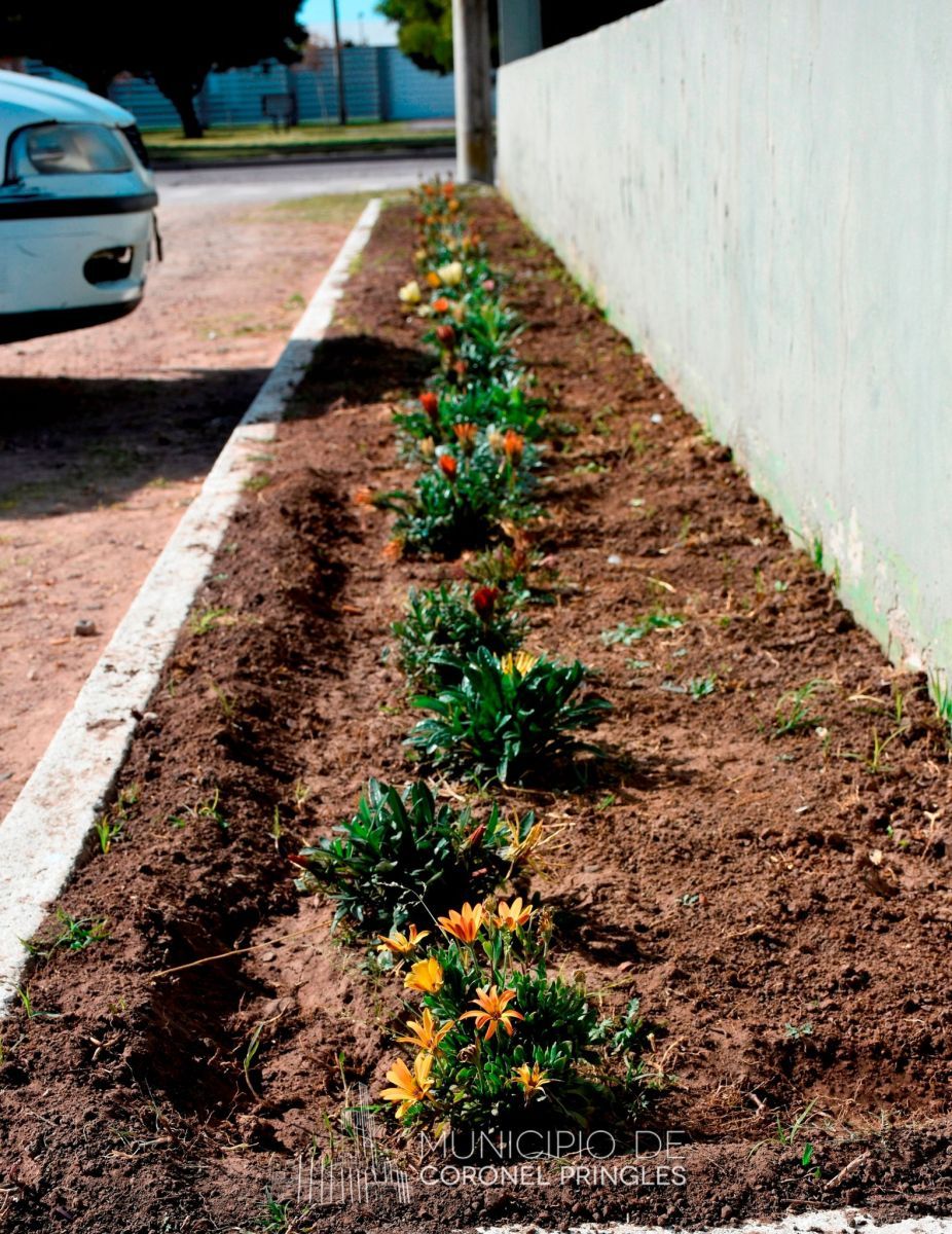 Mejoras en la Terminal de Ómnibus.