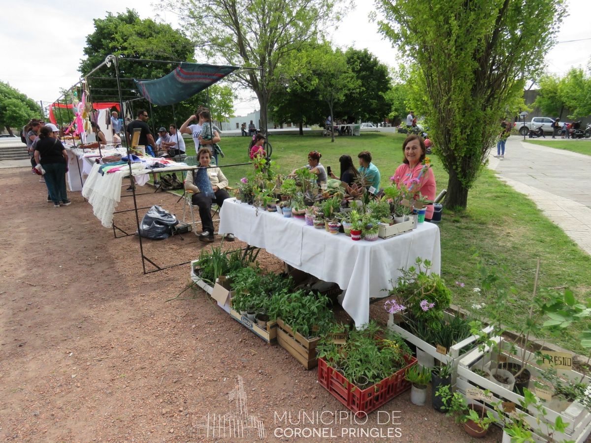 Mercado de Pulgas: Una propuesta municipal que llegó para quedarse