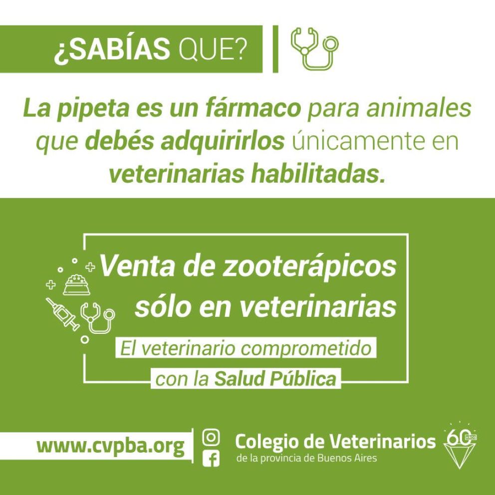 Productos veterinarios, ¿dónde comprarlos?