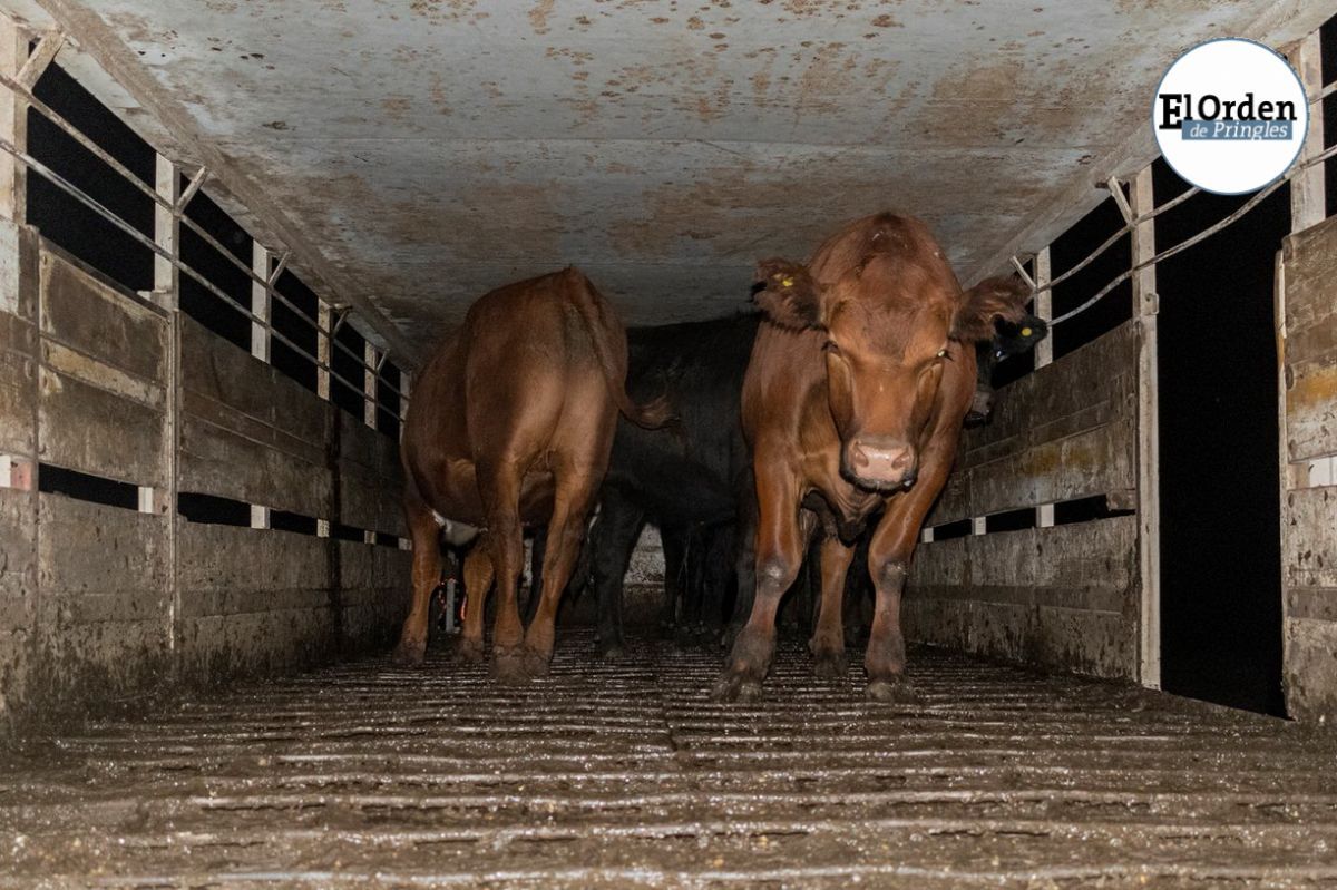 Se incendió un camión en cercanías de Fra-Pal