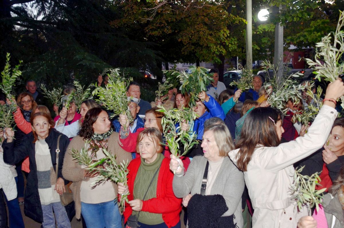 La feligresía católica aclamó a Jesús con palmas y ramos de olivos