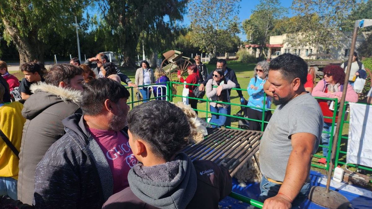 La Fiesta del Ovino fue un éxito total